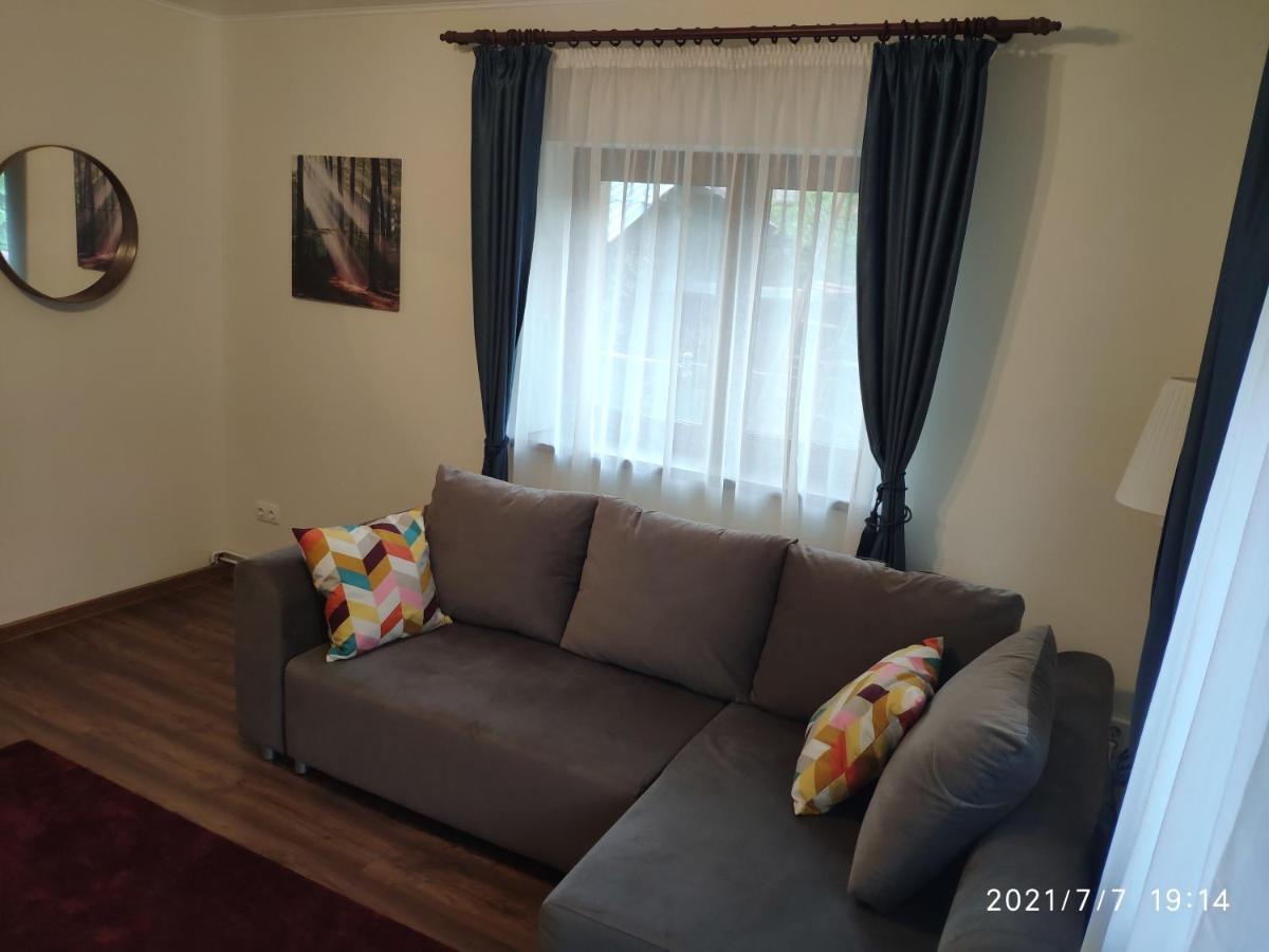 Cozy House Sinaia Villa Luaran gambar
